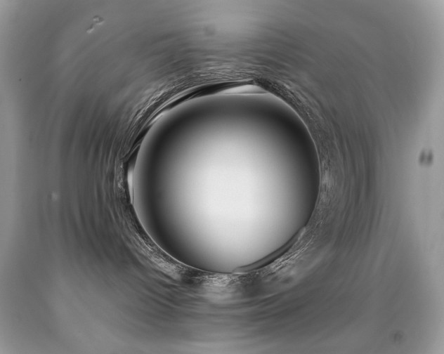 X0000091980096200709061404