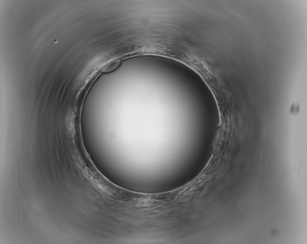 X0000091980098200709061403