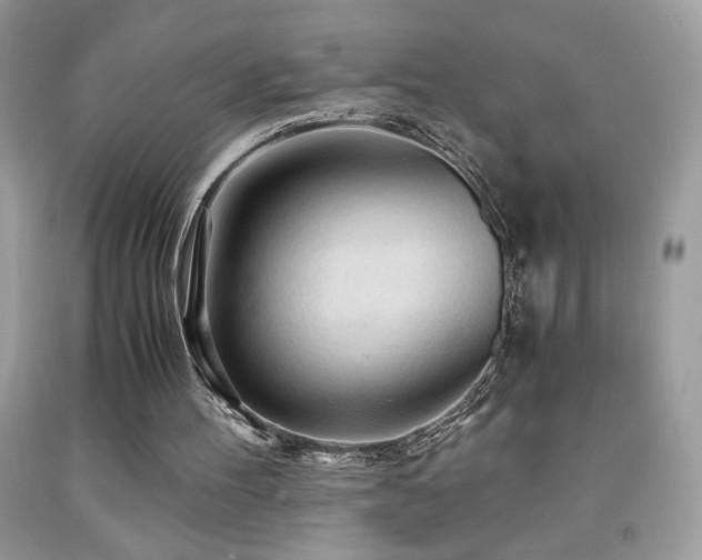 X0000091980100200709061403