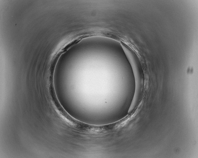 X0000091980101200709061403