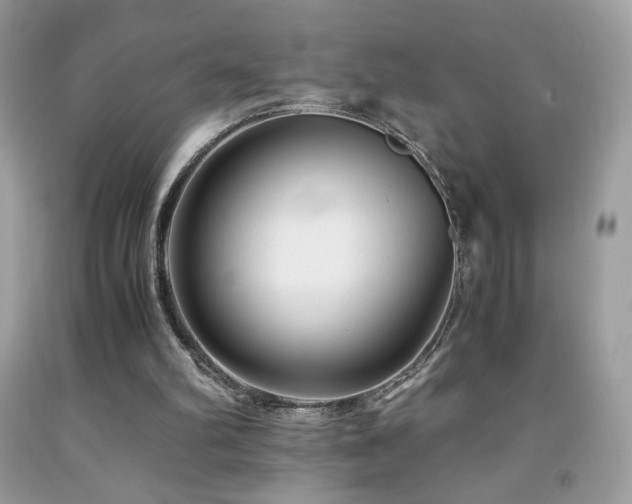 X0000091980102200709061403