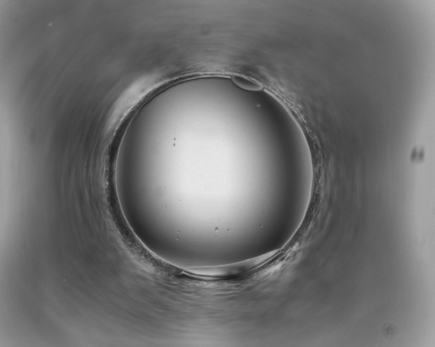 X0000091980103200709061403