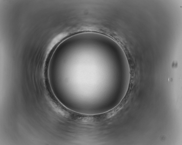 X0000091980104200709061403