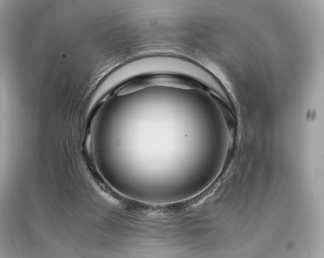 X0000091980105200709061403