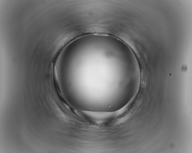 X0000091980109200709061403