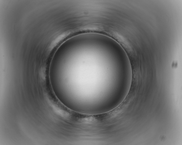 X0000091980112200709061403