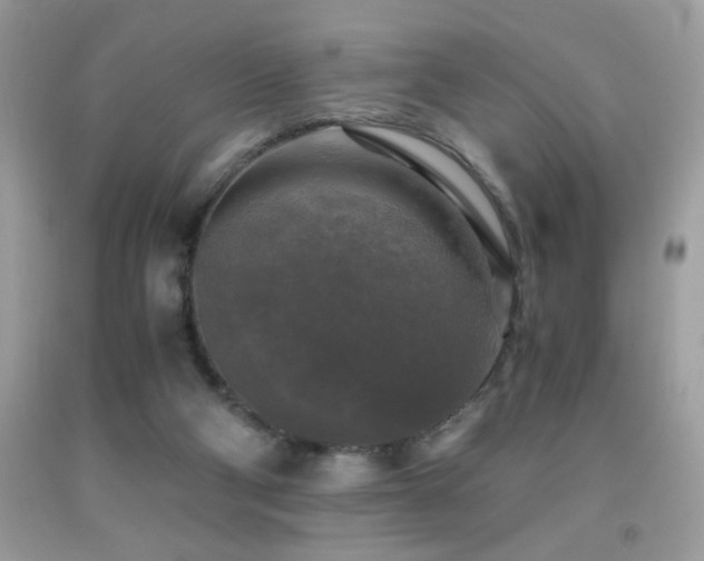 X0000091980114200709061403