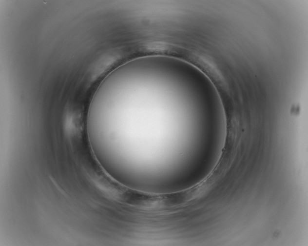 X0000091980116200709061403