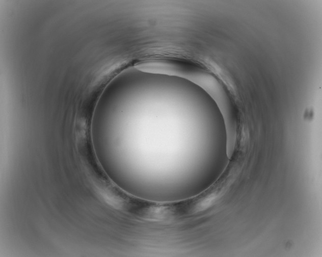 X0000091980117200709061403