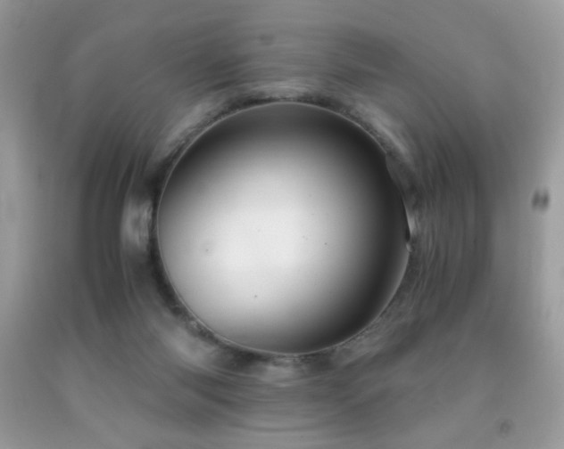 X0000091980118200709061403