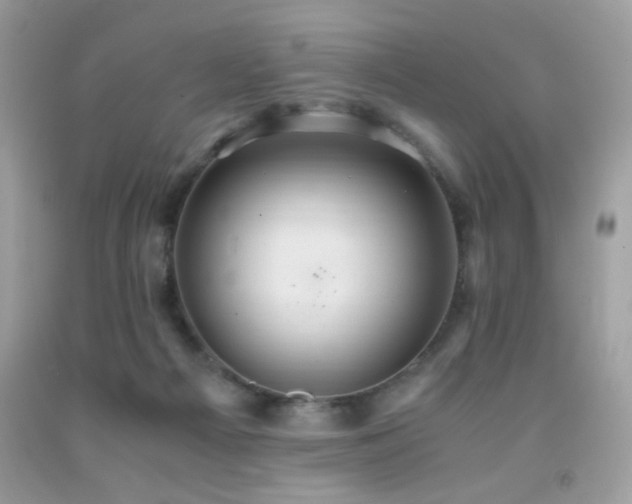 X0000091980121200709061403