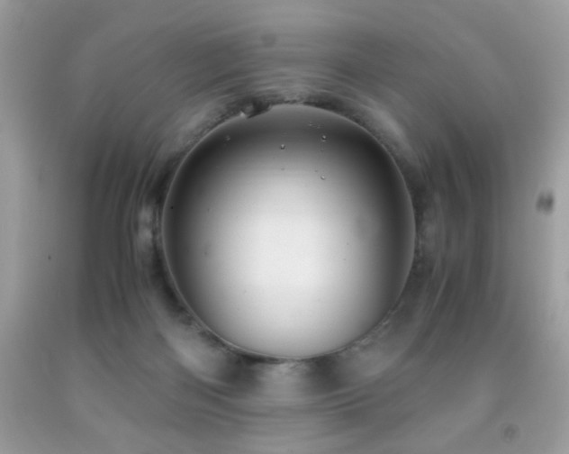 X0000091980122200709061403