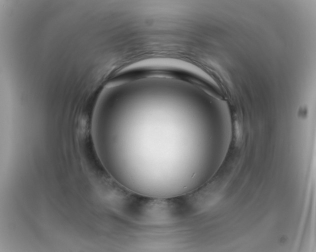 X0000091980123200709061403