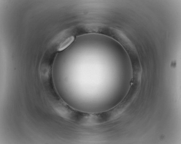 X0000091980125200709061403