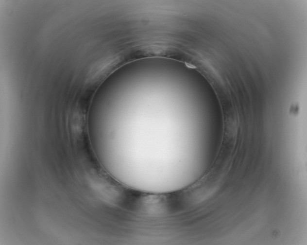 X0000091980126200709061403