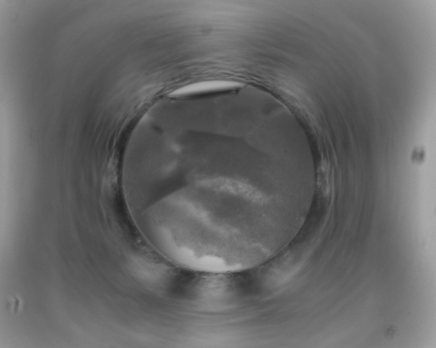 X0000091980127200709061403