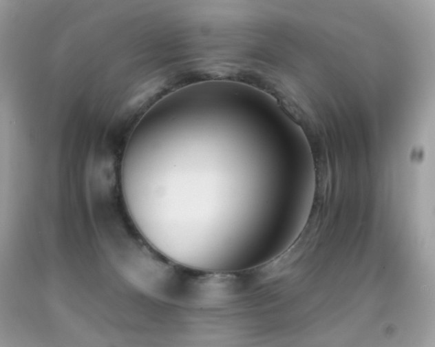 X0000091980128200709061403