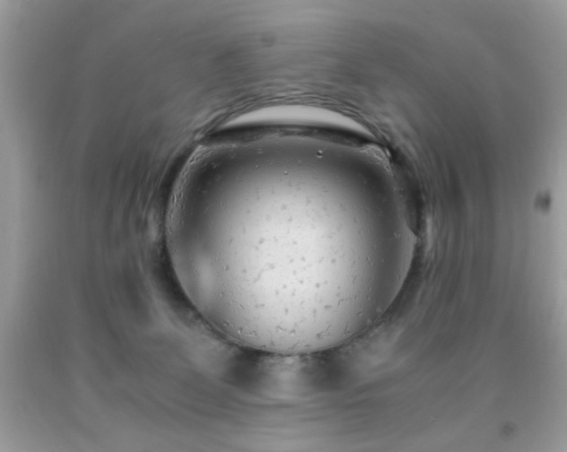 X0000091980131200709061403