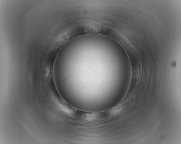 X0000091980134200709061403