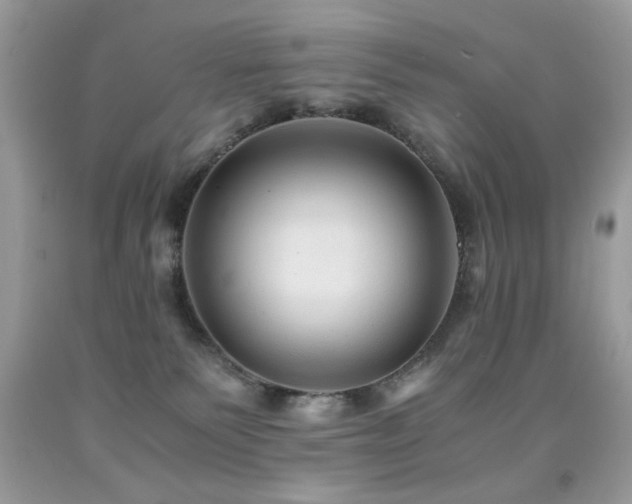 X0000091980135200709061403