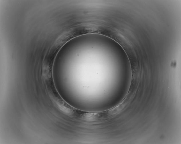 X0000091980136200709061403