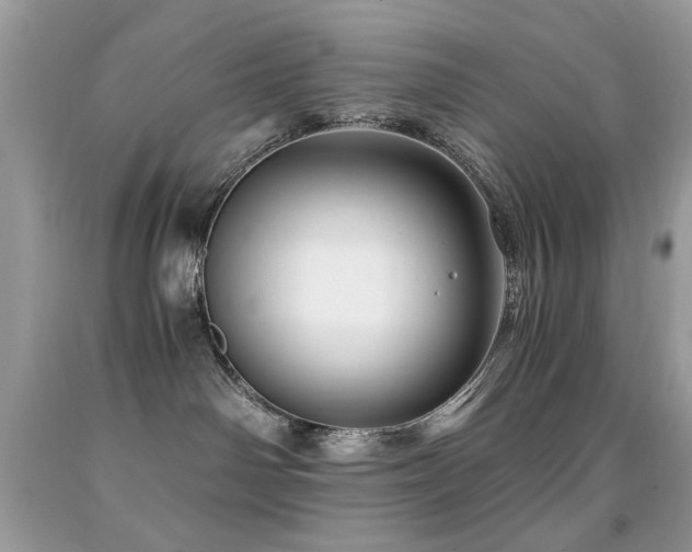 X0000091980142200709061403