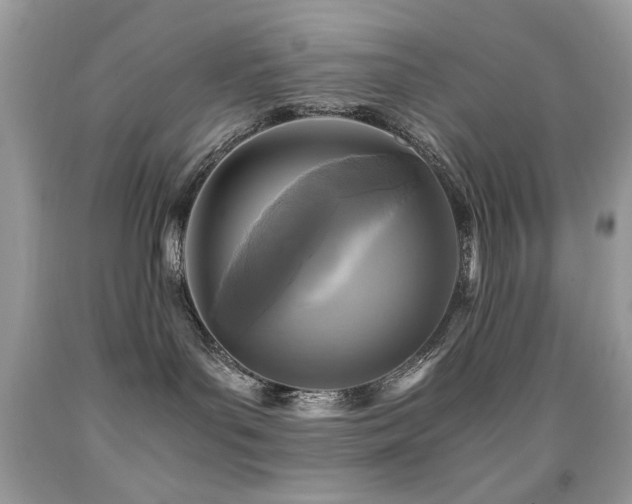 X0000091980143200709061403