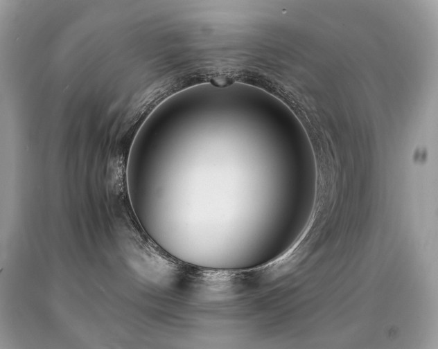 X0000091980144200709061403