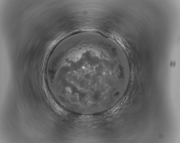 X0000091980145200709061402