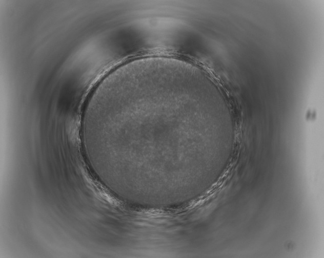 X0000091980146200709061402