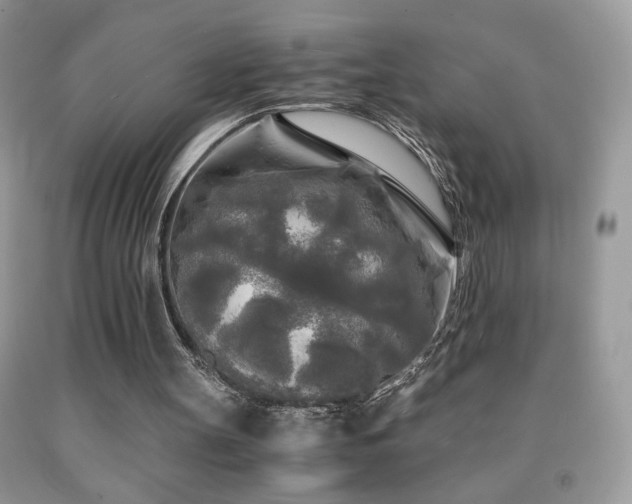 X0000091980147200709061402