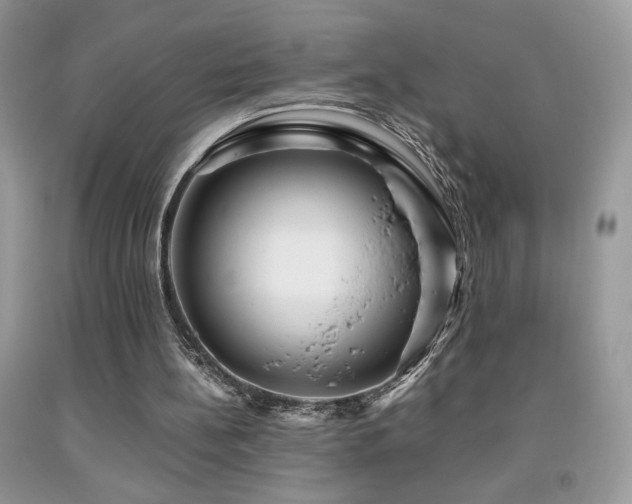 X0000091980148200709061402