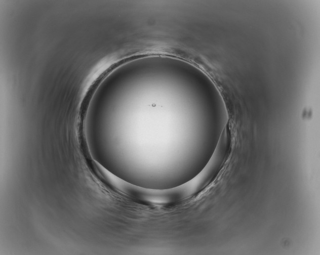 X0000091980152200709061402