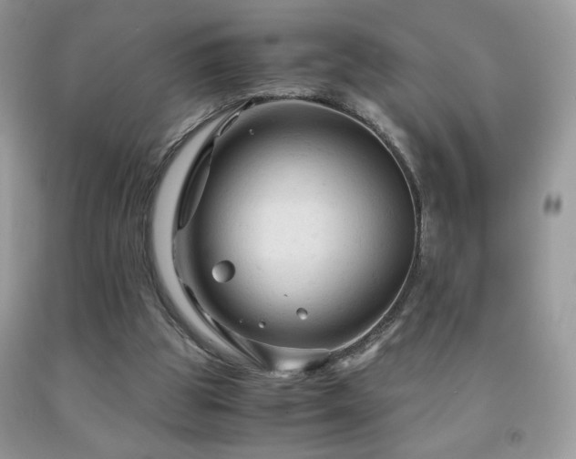 X0000091980153200709061402