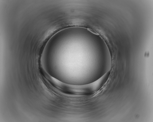 X0000091980154200709061402