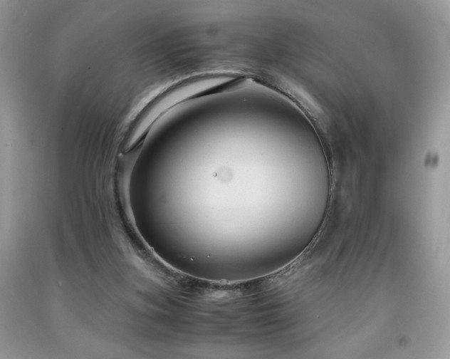 X0000091980155200709061402