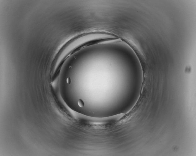 X0000091980156200709061402