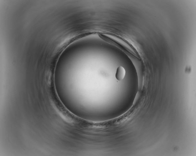 X0000091980157200709061402