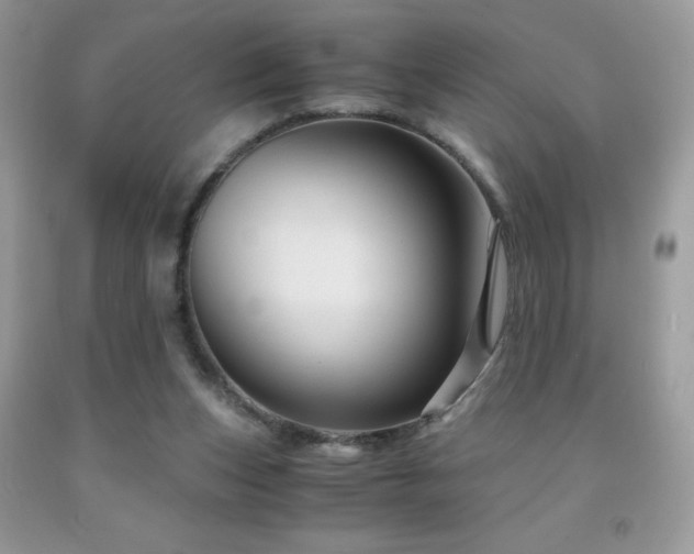 X0000091980159200709061402