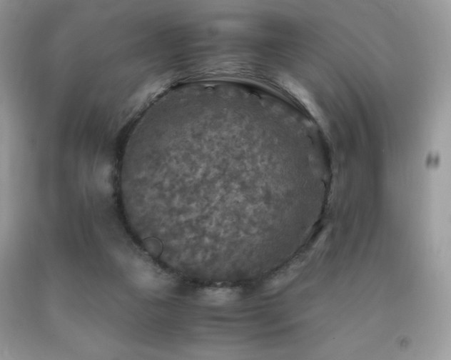 X0000091980161200709061402