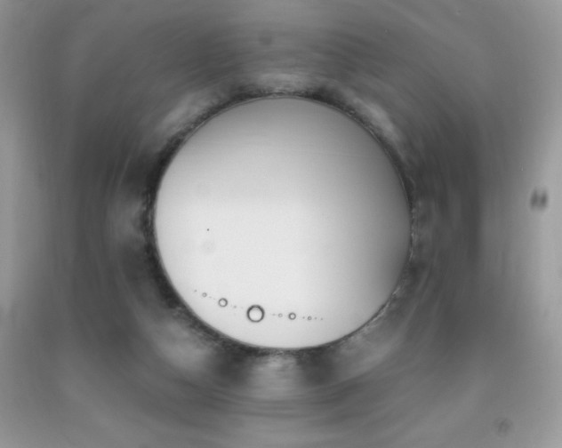 X0000091980162200709061402