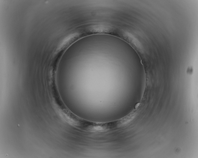 X0000091980163200709061402