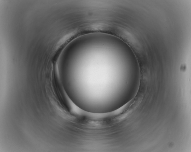 X0000091980164200709061402