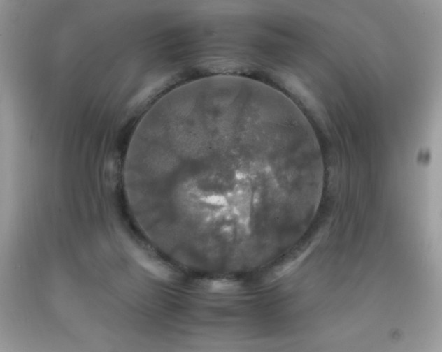 X0000091980165200709061402