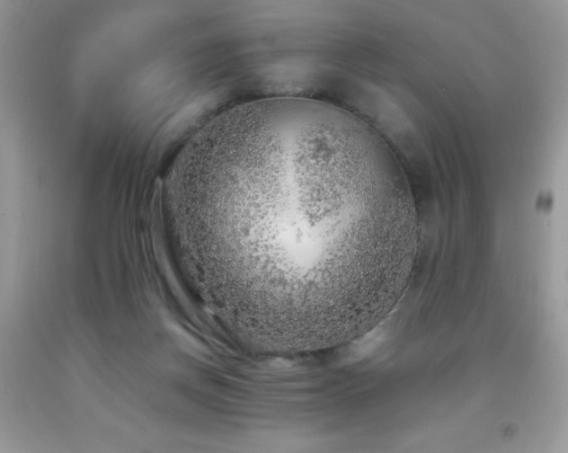 X0000091980166200709061402
