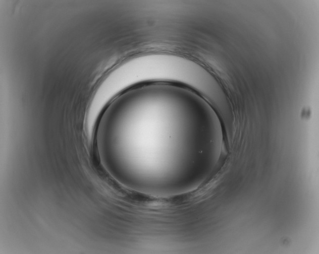 X0000091980168200709061402