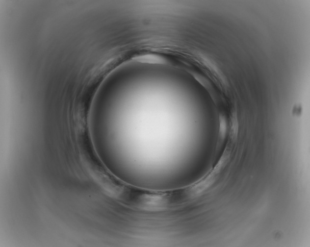 X0000091980170200709061402