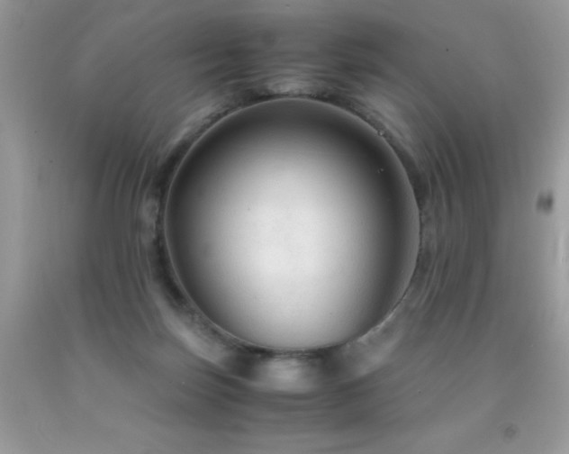 X0000091980171200709061402