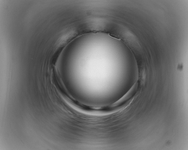 X0000091980172200709061402