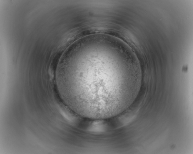 X0000091980173200709061402